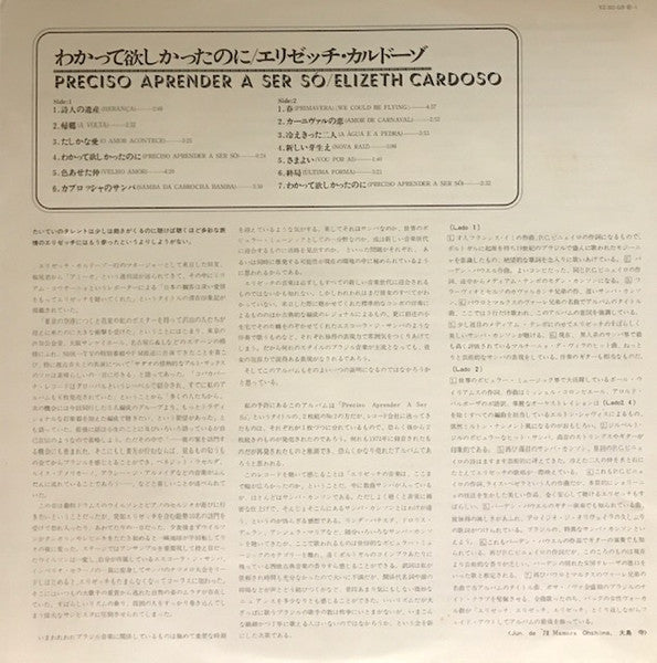 Preciso Aprender A Ser Só (Vol. II)