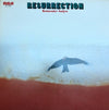 Konosuke Saijo - Resurrection (Vinyl, LP) Very Good (VG) / Good Plus (G+)