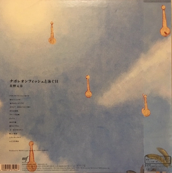 ナポレオンフィッシュと泳ぐ日