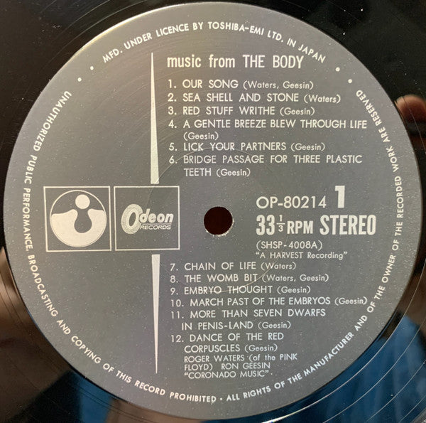 Music From The Body