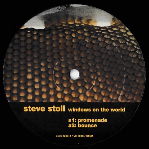 Master Release: Windows On The World by Steve Stoll
