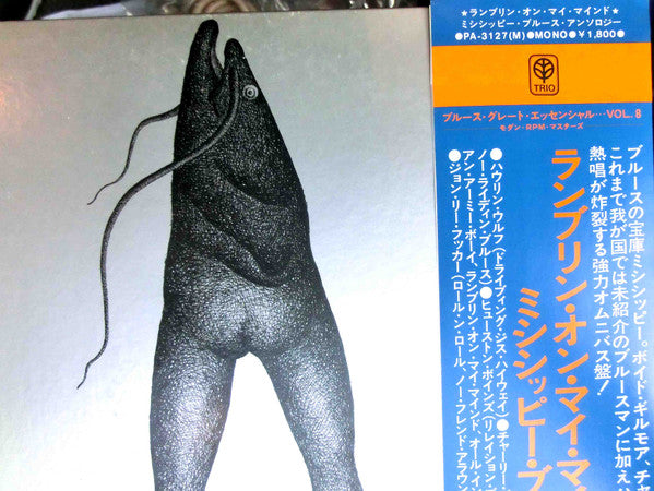 Ramblin' On My Mind (Missippi Blues Anthology)