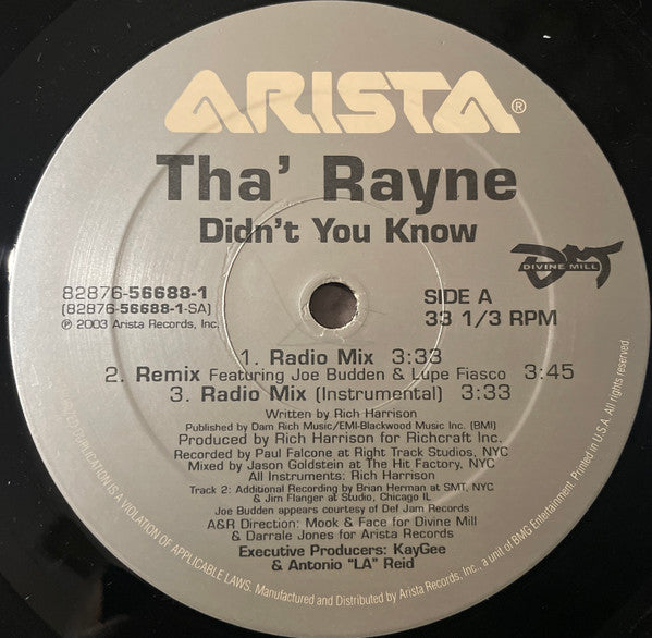 Release: Didn't You Know-Vinyl-US-2003-82876-56688-1-16229271