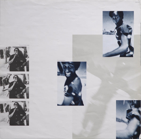 The Dream Of The Blue Turtles