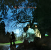The Dream Academy - The Dream Academy (LP, Album, Stereo) - Very Good Plus (VG+) / Very Good Plus (VG+)