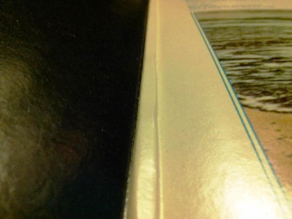 Don't Shoot Me I'm Only The Piano Player