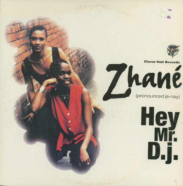 Master Release: Hey Mr. D.J. by Zhané