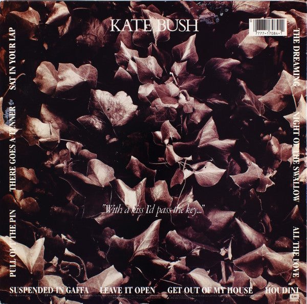 Release: The Dreaming-Vinyl-US-1982-ST-17084-7546939