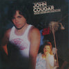 John Cougar Mellencamp - Nothin' Matters And What If It Did (Vinyl, LP, Album) Very Good (VG) / Very Good (VG)