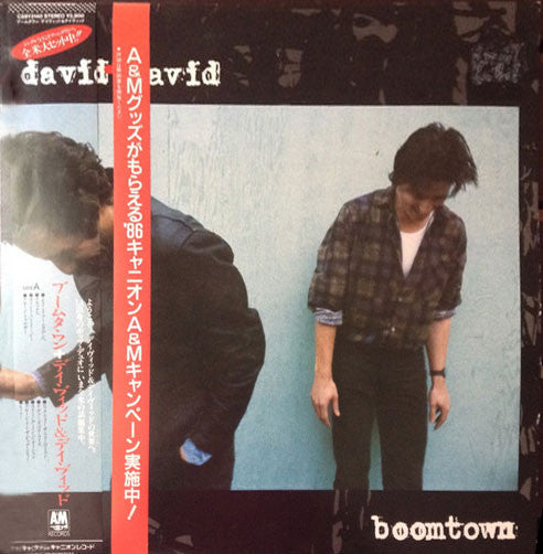 Master Release: Boomtown by David + David