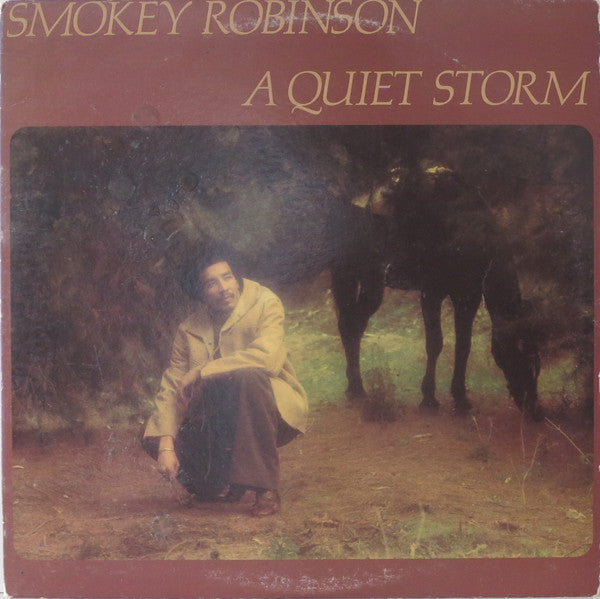 Release: A Quiet Storm-Vinyl-US-1975-T6-337S1-8740988