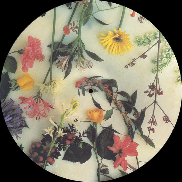 Master Release: Absolute by Scritti Politti