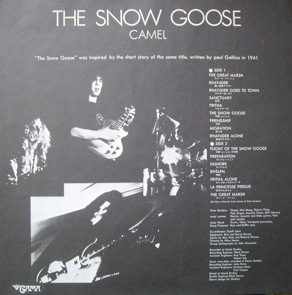 The Snow Goose