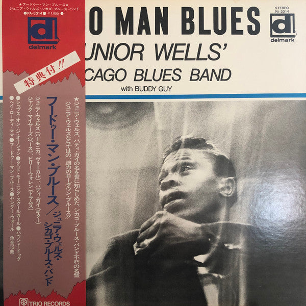Hoodoo Man Blues