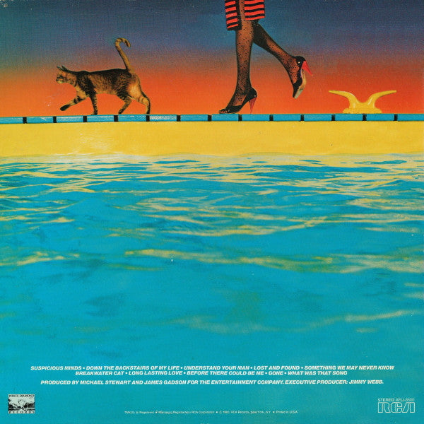 Release: Breakwater Cat-Vinyl-US-1980-AFL1-3500-1811248