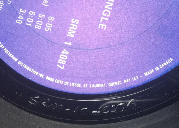 Windows In The Jungle