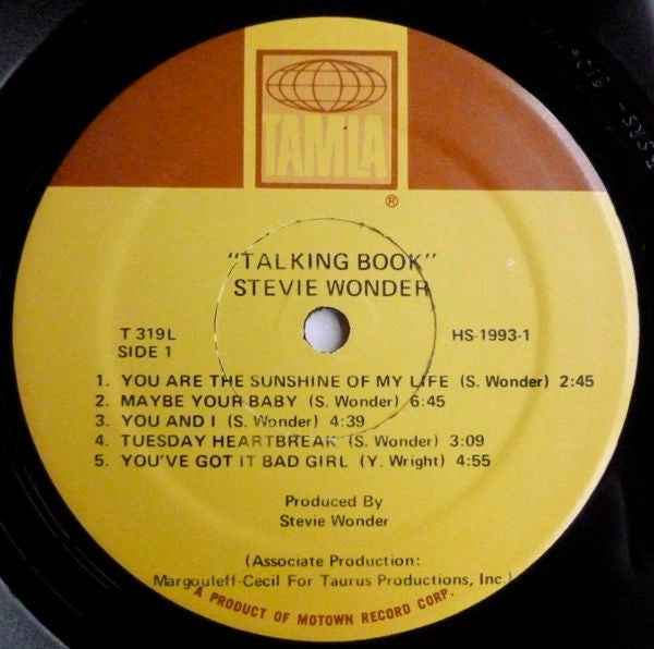 Talking Book
