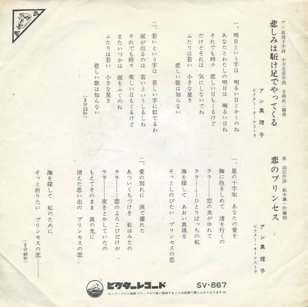 悲しみは駈け足でやってくる