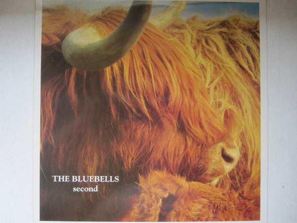 Master Release: Second by The Bluebells