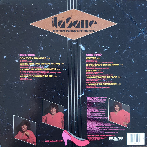Master Release: Hittin Where It Hurts by Denise LaSalle