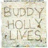 Buddy Holly - 20 Golden Greats (Vinyl, LP, Compilation, Reissue) Very Good (VG) / Very Good Plus (VG+)