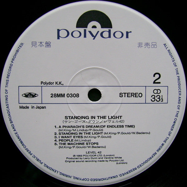 Standing In The Light