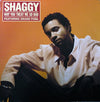 Shaggy - Why You Treat Me So Bad (Vinyl, 12