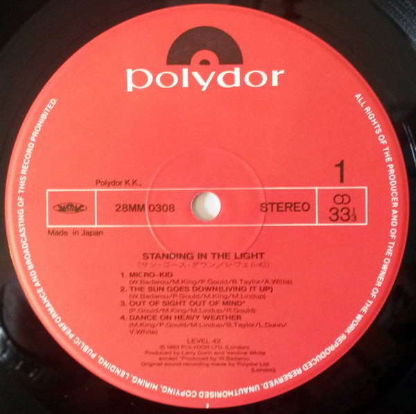 Standing In The Light