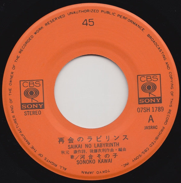 再会のラビリンス = Saikai No Labyrinth