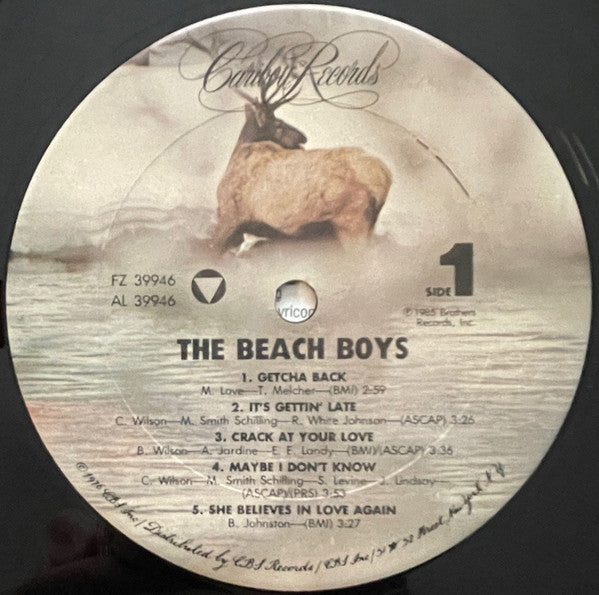 The Beach Boys