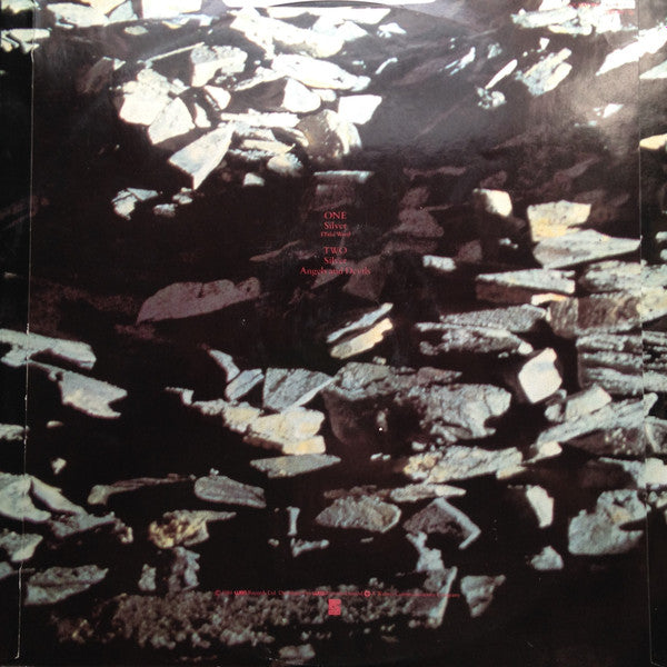 Master Release: Silver by Echo & The Bunnymen