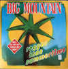 Big Mountain - Reggae Inna Summertime (Vinyl, 12