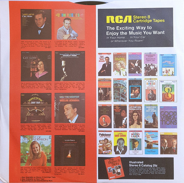 Amazing Adventures Of The Liverpool Scene