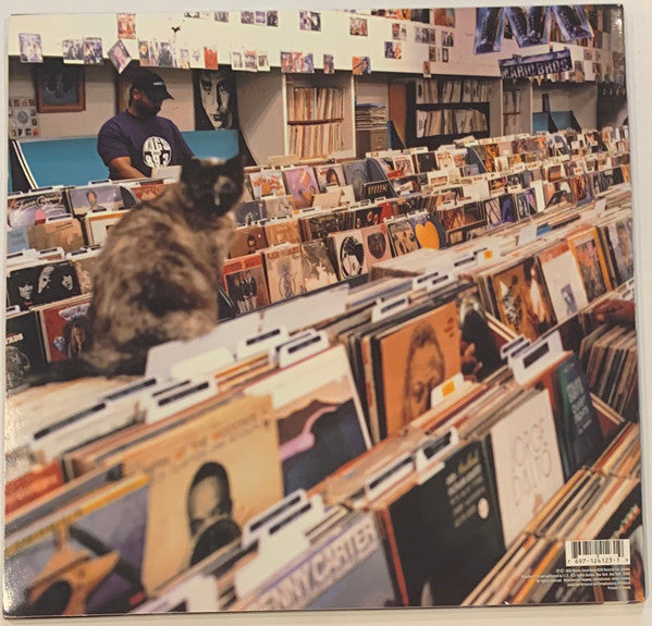 Release: Endtroducing.....-Vinyl-US-2002-697-124 123-1, 697-124 123-1-28404949