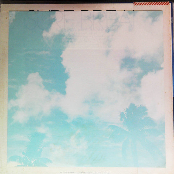 Surf Break From Jamaica