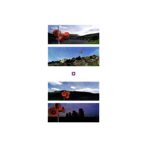 Music For The Masses