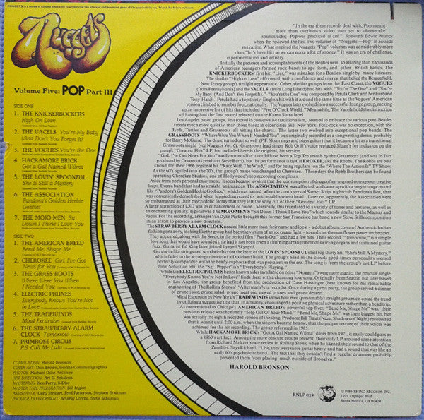 Master Release: Nuggets Volume Five: Pop, Part III by Various