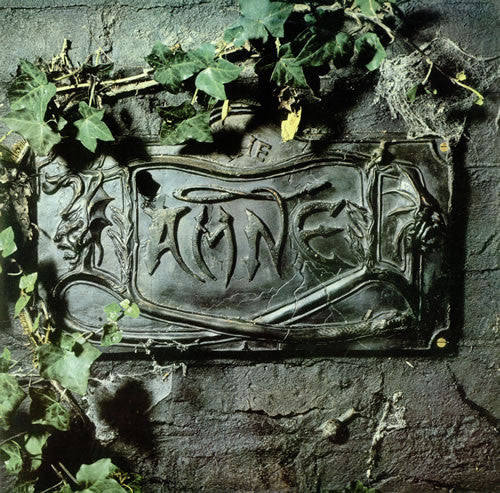 Master Release: The Black Album by The Damned