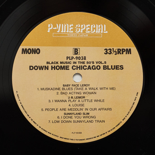 Down Home Chicago Blues - Presenting The Historic Parkway Session, 1950