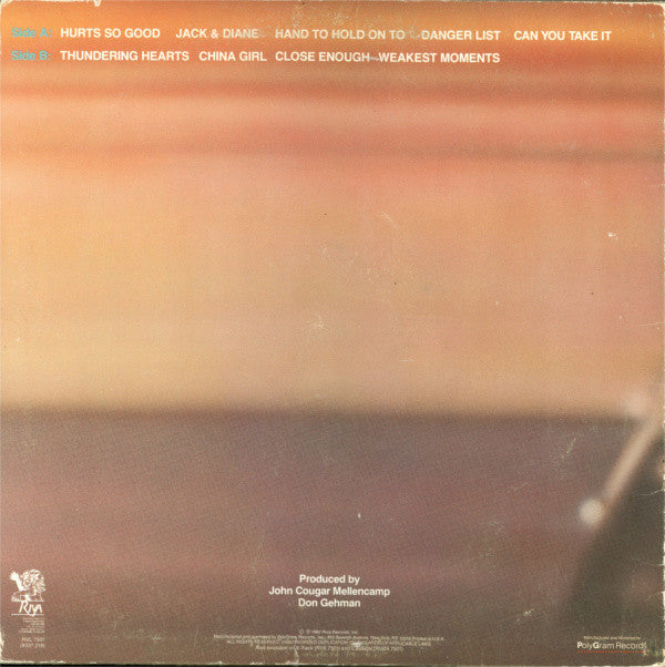 Release: American Fool-Vinyl-US-1982-RVL 7501, RVL-7501-3950991