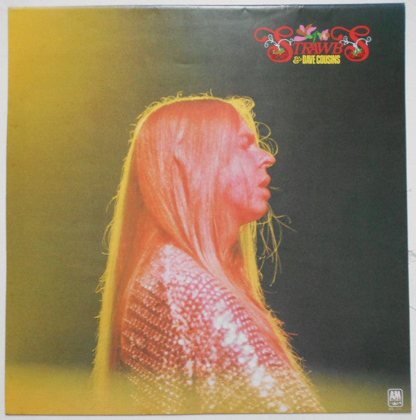 Strawbs & Dave Cousins