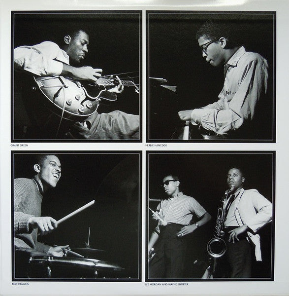 Search For The New Land