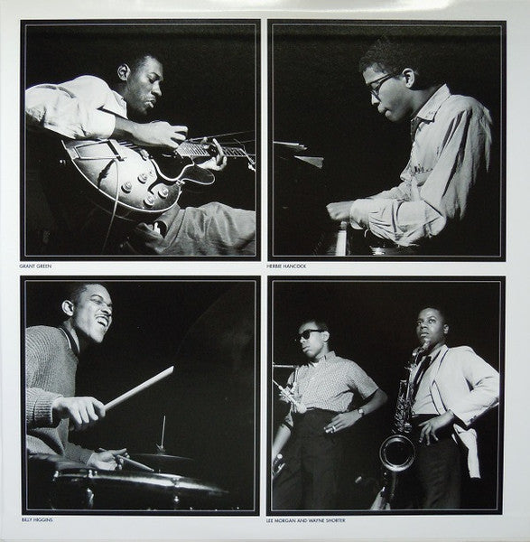 Search For The New Land