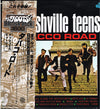 The Nashville Teens - Tobacco Road (Vinyl, LP, Mono) Near Mint (NM or M-) / Very Good Plus (VG+)