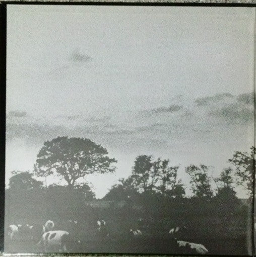 Release: Atom Heart Mother-Vinyl-US-1970-SKAO-382-4398916