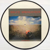 Bruce Springsteen - Castaway (Vinyl, LP, Album, Picture Disc, Unofficial Release) Very Good (VG) / Generic