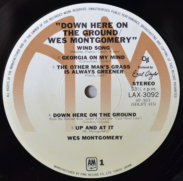 Down Here On The Ground