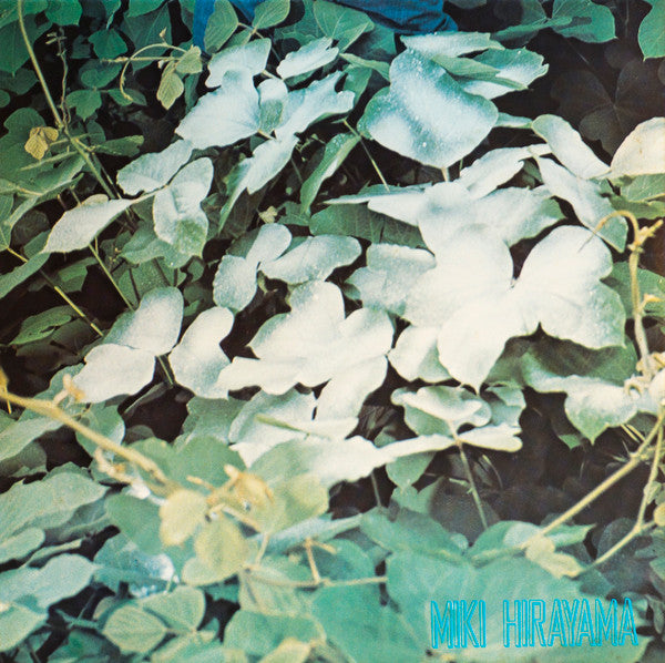 My Beautiful Seasons