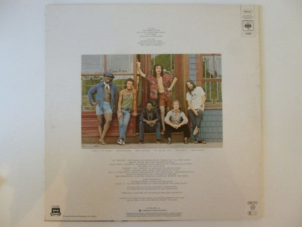The Wild, The Innocent &  The E Street Shuffle