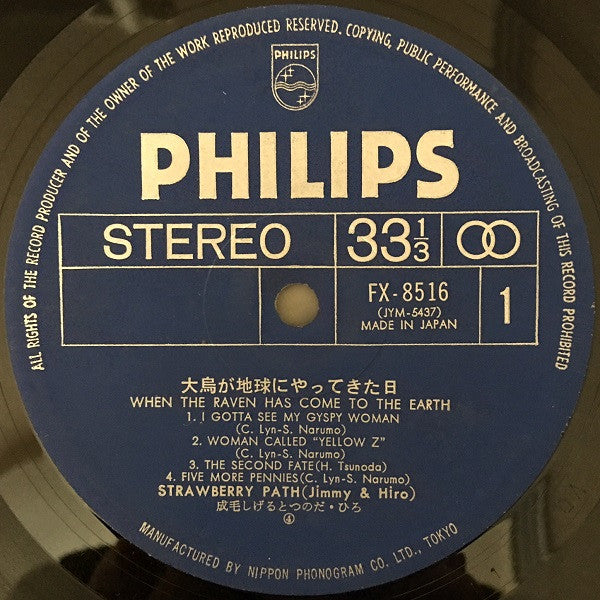 When The Raven Has Come To The Earth